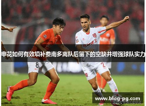 申花如何有效填补费南多离队后留下的空缺并增强球队实力