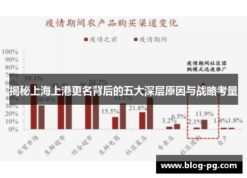 揭秘上海上港更名背后的五大深层原因与战略考量
