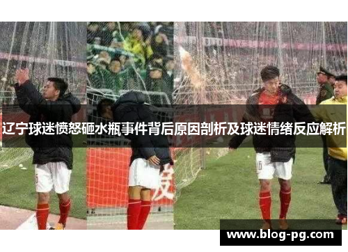 辽宁球迷愤怒砸水瓶事件背后原因剖析及球迷情绪反应解析