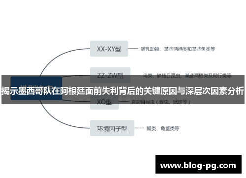 揭示墨西哥队在阿根廷面前失利背后的关键原因与深层次因素分析