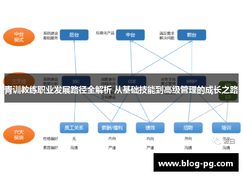 青训教练职业发展路径全解析 从基础技能到高级管理的成长之路