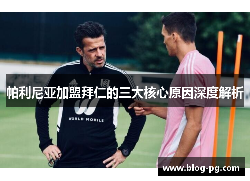 帕利尼亚加盟拜仁的三大核心原因深度解析 帕利尼亚加盟拜仁的三大核心原因深度解析