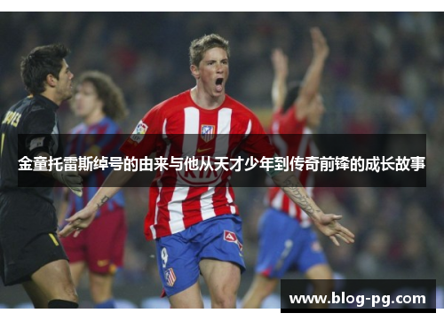 金童托雷斯绰号的由来与他从天才少年到传奇前锋的成长故事 金童托雷斯绰号的由来与他从天才少年到传奇前锋的成长故事