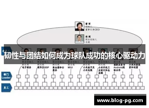 韧性与团结如何成为球队成功的核心驱动力